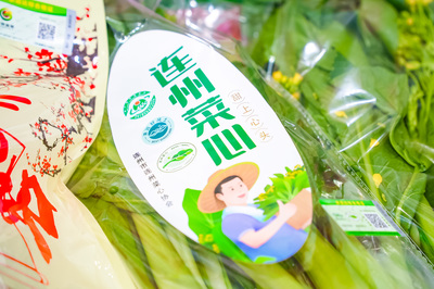 清远农产品亮相农交会 百亿蓝图启新程，特色佳肴引客来